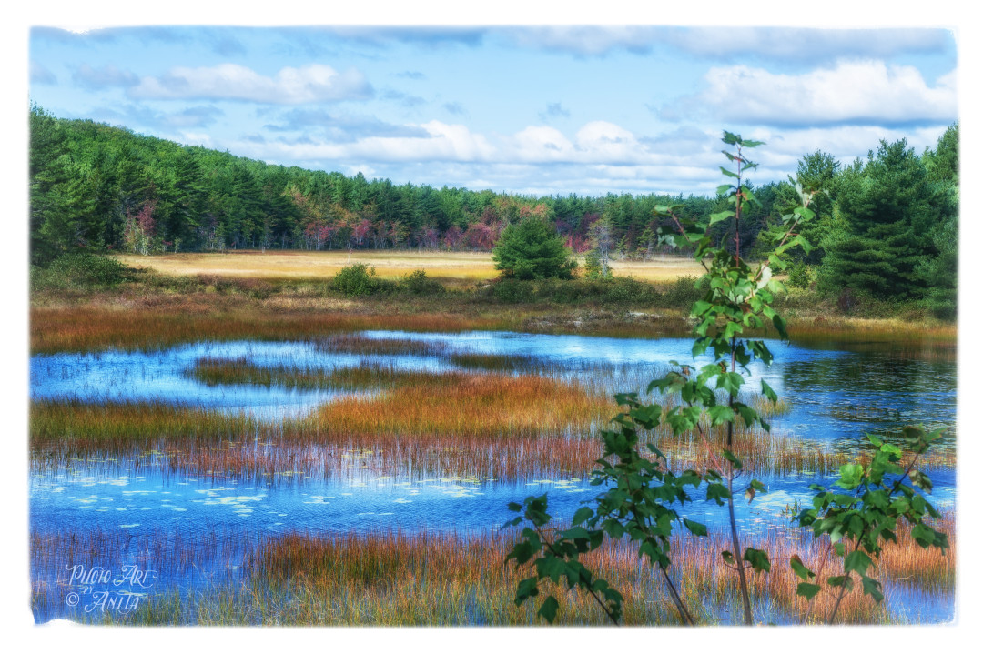 The Magic of Acadia | Photo Art By Anita